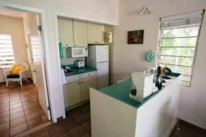 Lower Guest House Kitchen