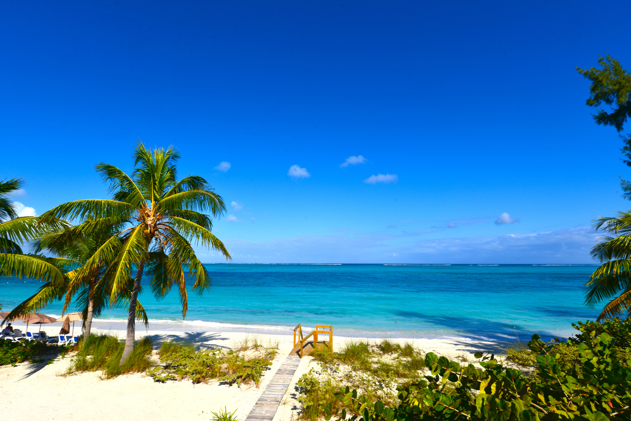 A sunny day at Grace Bay Beach in Providenciales, Turks and Cacos. A walkway on a white sandy is bordered by palm trees and plants. The calm ocean stretches out towards the horizon under a deep blue sky.