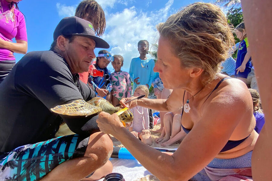 Turtle tagging with SURFside kid's camp